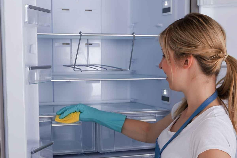 Refrigerator Cleaning